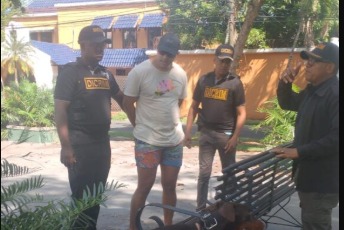 Apresan hombre acusado de lanzar dos perros desde el piso 11 de una torre en Bella Vista