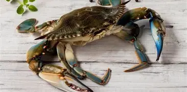 Condena de seis meses para hombre por pesca y comercialización ilegal de crustáceos