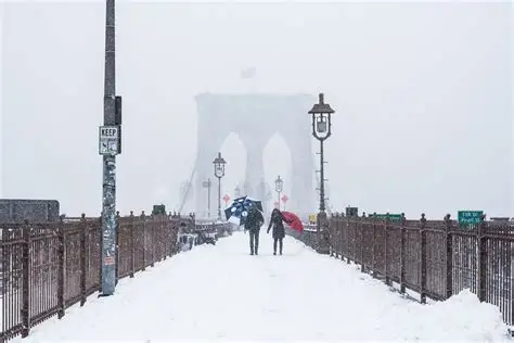 A causa de Nevada en Nueva York y NJ cancelan vuelos, clases y espectáculos
