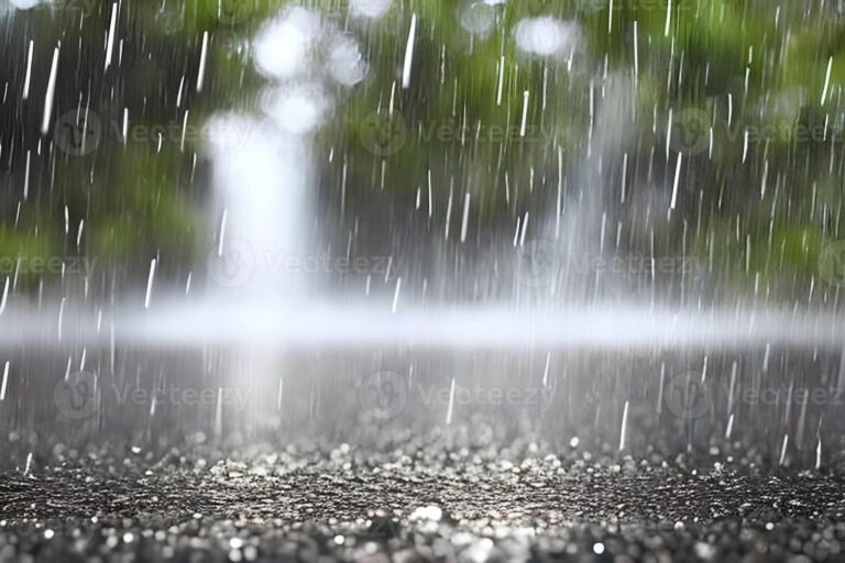  LLUVIAS DÉBILES, RÁFAGAS DE VIENTO Y OLEAJE PELIGROSO; TEMPERATURAS FRESCAS.