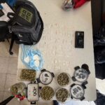 Policía Nacional ocupa tres pacas de presunta marihuana y balanza digital durante operativo en Capotillo, DN
